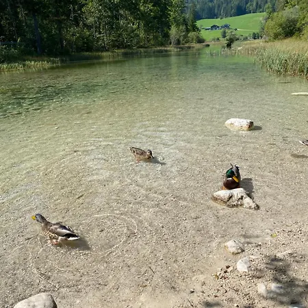 Salinenblick Lägenhet