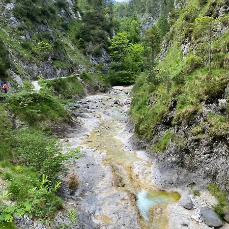 Salinenblick Διαμέρισμα *