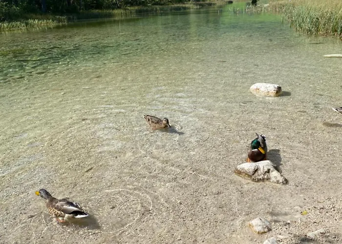 Salinenblick Appartement